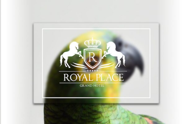 Clear Plastic Business Cards